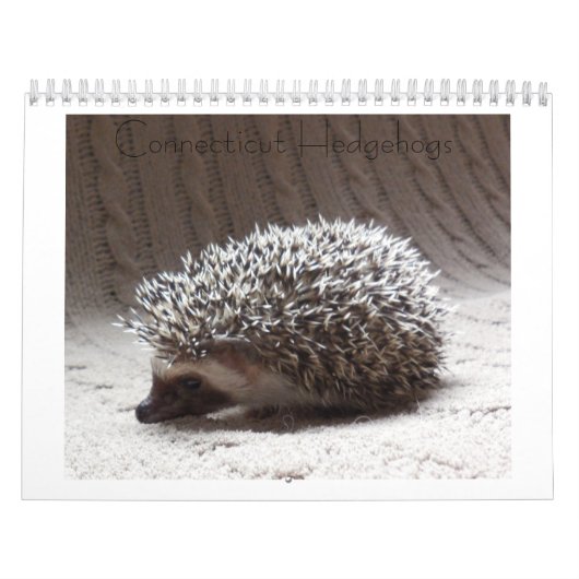 Egel-baby kalender 3 (Hoes)