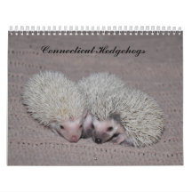 Egel babykalender