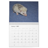 Egel babykalender kalender (Jan 2027)