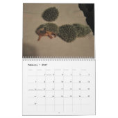 Egel babykalender kalender (Feb 2027)