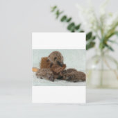 Egel Briefkaart (Staand voorkant)