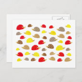 egel briefkaart (Voorkant / Achterkant)