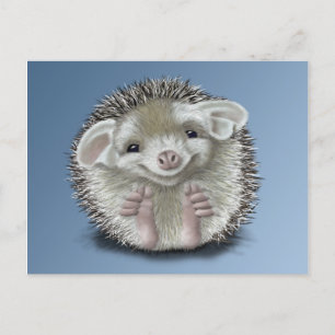 Egel Briefkaart