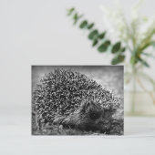 Egel Briefkaart (Staand voorkant)