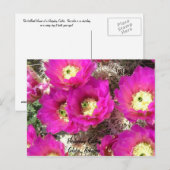 Egel CactusGlobe, Arizona Briefkaart (Voorkant / Achterkant)