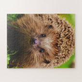 Egel die vreemd genoeg in Natuur verkennen Legpuzzel (Horizontaal)