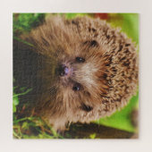 Egel die vreemd genoeg in Natuur verkennen Legpuzzel (Horizontaal)