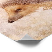 EGEL / Dierentekening Poster (Hoek)