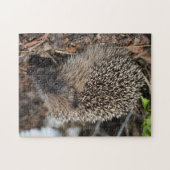 Egel Foto Puzzle Legpuzzel (Horizontaal)