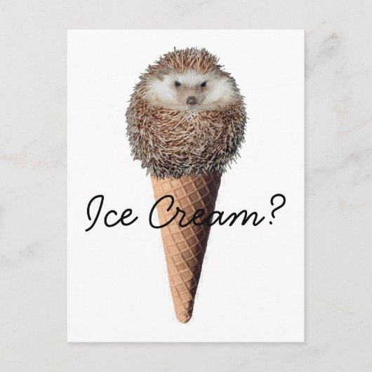 Egel Ice Cream Briefkaart (Voorkant)