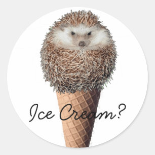 Egel Ice Cream Ronde Sticker