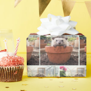 Egel in een Aarden Bloempot Cadeaupapier