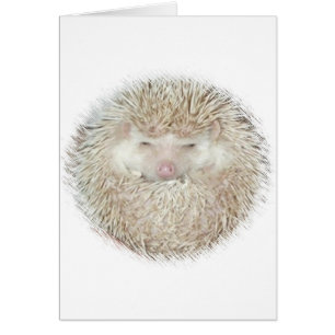 Egel in een bal