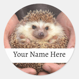 Egel in handen Foto Ronde Sticker