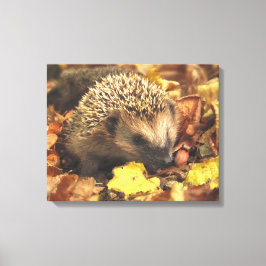 Egel in het najaar canvas afdruk