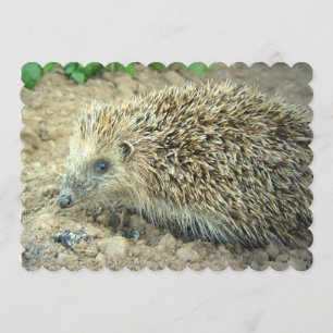 Egel Kaart