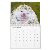 Egel Kalender (Feb 2026)