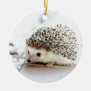Egel Keramisch Ornament