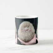 Egel Koffiemok (Center)