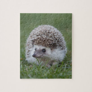 Egel Legpuzzel