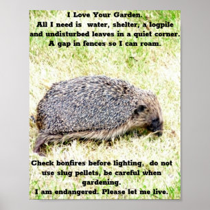 Egel Liefde Poster