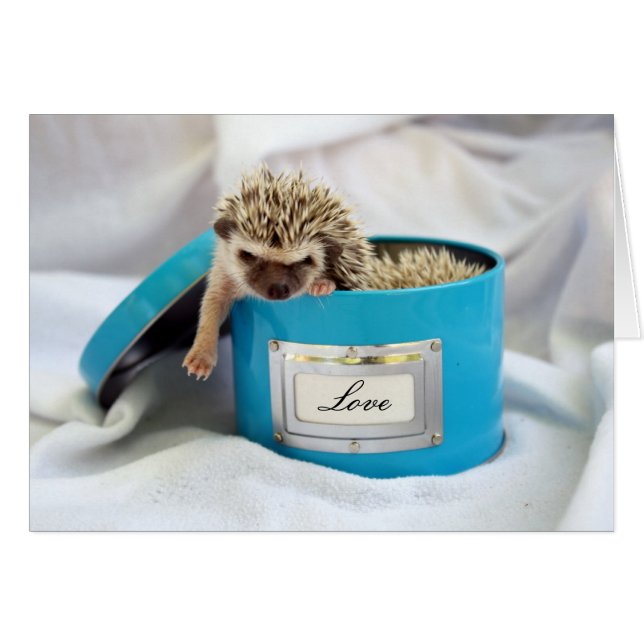 Egel Love (Voorkant Horizontaal)