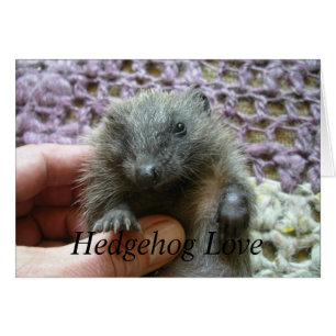 Egel Love Card