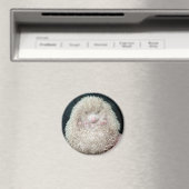 Egel Magneet (Insitu (Vaatwasser))