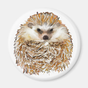 Egel magnet magneet