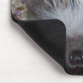Egel Muismat (Hoek)