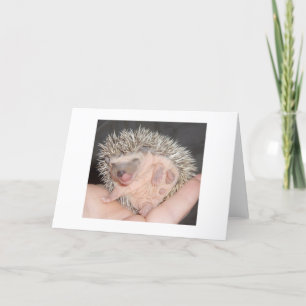 Egel Notecard Kaart