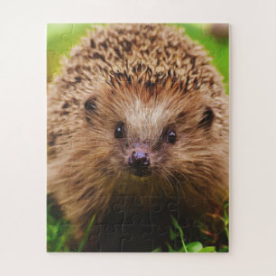 Egel op merkwaardige wijze verkennen in Natuur Legpuzzel