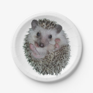 Egel Papieren Bordje