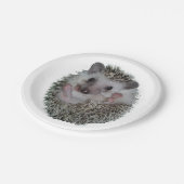 Egel Papieren Bordje (Gekanteld)