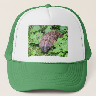 Egel-Pet Trucker Pet