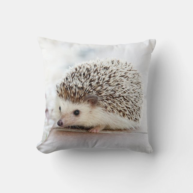 Egel Pillow Kussen (Voorkant)