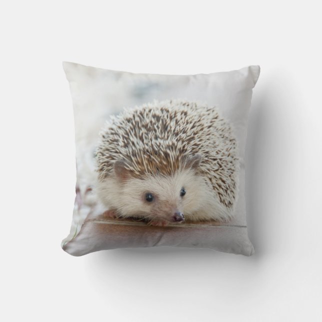 Egel Pillow Kussen (Voorkant)
