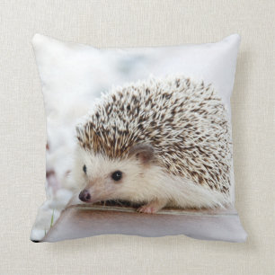 Egel Pillow Kussen