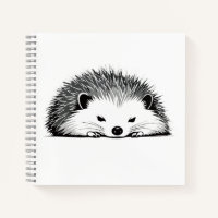 Egel Schattig Leuk Dier Slapen Ontspannen