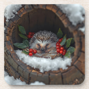 Egel schattig wintergeluk bier onderzetter