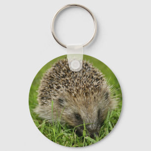 Egel-Sleutelhanger Sleutelhanger