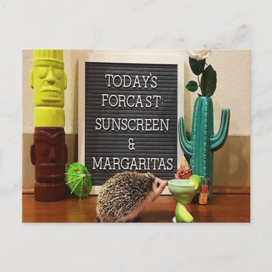 Egel Sunscreen en Margaritas Briefkaart (Voorkant)