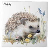 Egel Tegeltje (Voorkant)