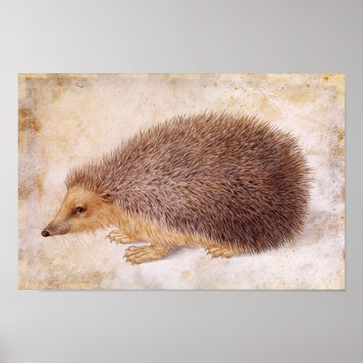 EGEL / Tekening van een dier Poster (Voorkant)