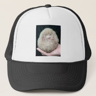 Egel Trucker Pet