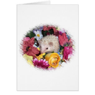 Egel tussen de bloemen