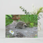 Egel-uitnodiging - aanpassen kaart (Staand voorkant)