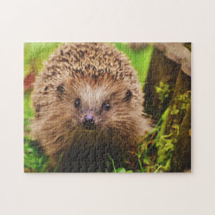 Egel vreemd verkennen legpuzzel