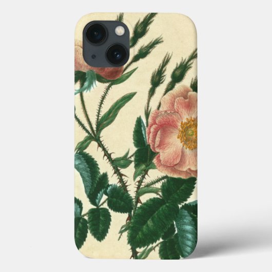 Egelantierroos Case-Mate iPhone Case (Achterkant)