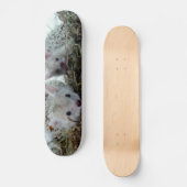 Egels als gezelschapsdieren skateboard (Voorkant)